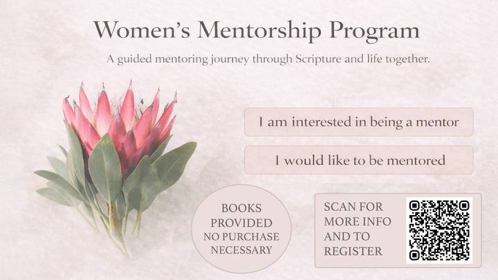 Ladies Mentorship